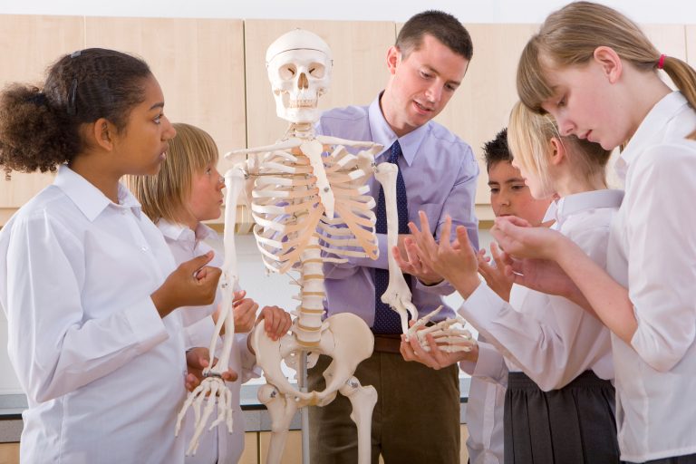A,Medium,Wide,Shot,Of,School,Children,Observantly,Listening,To