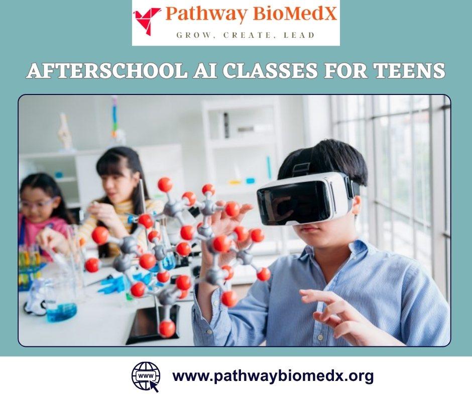 Afterschool AI Classes